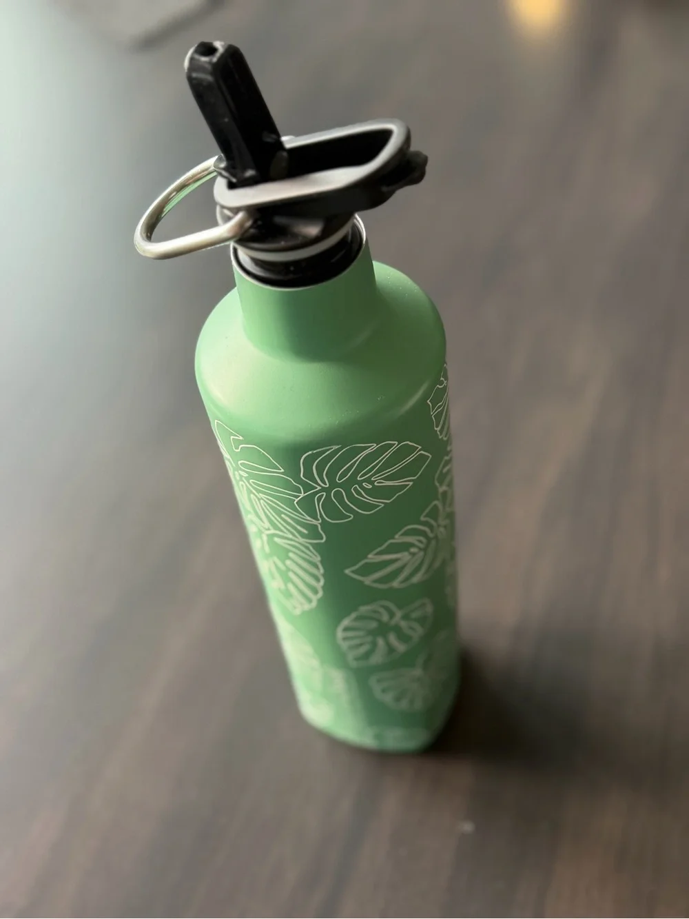 BrüMate Rehydration 25 oz Green Monstera Leaf Water Bottle